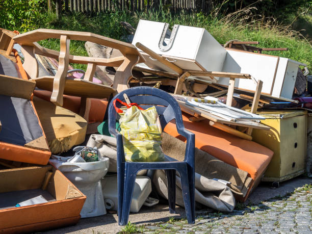 Best Electronics Removal Services  in Laguna Niguel, CA