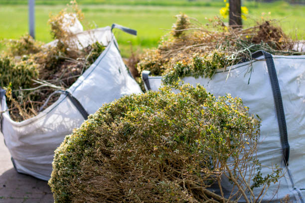 Best Residential Junk Removal  in Laguna Niguel, CA